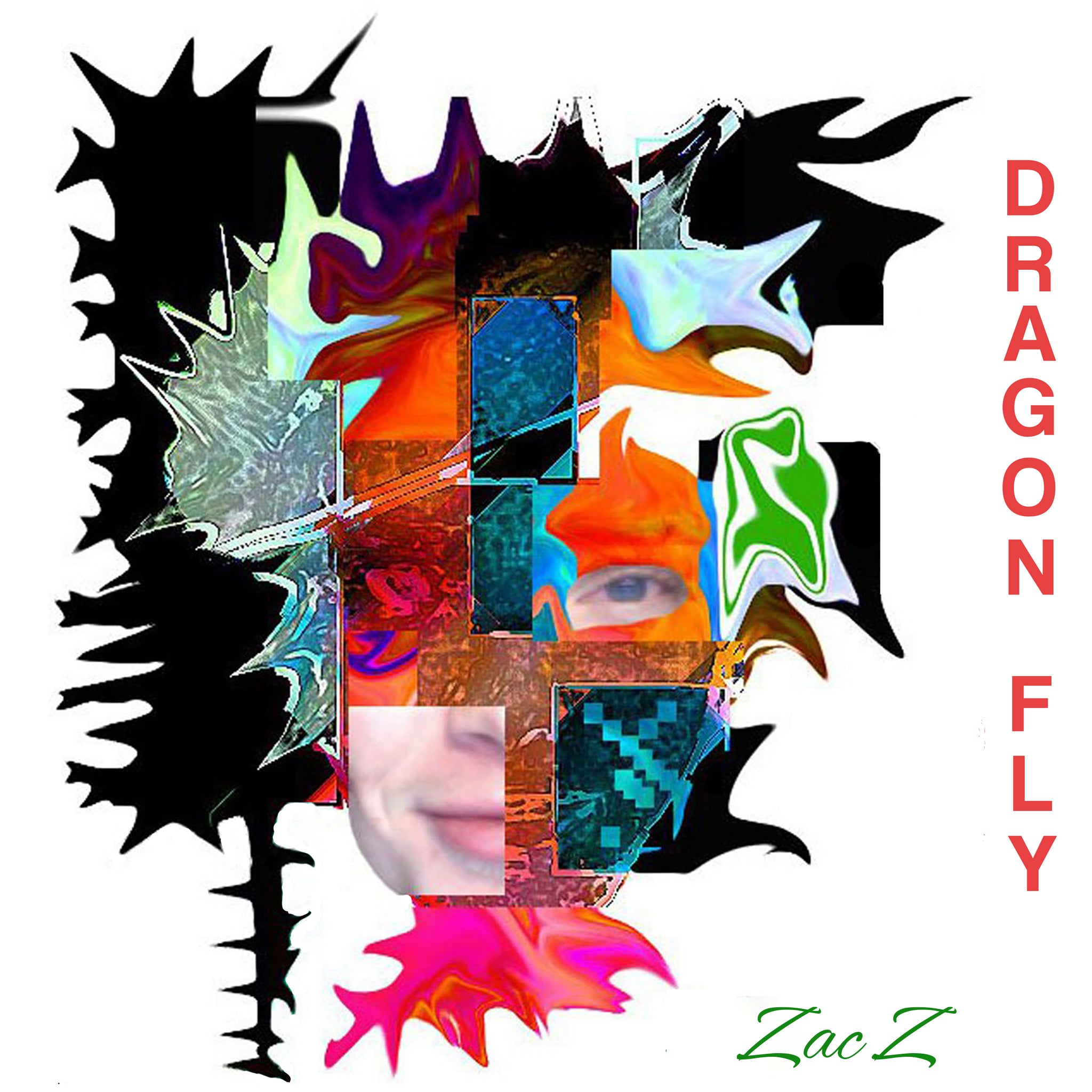 Dragon Fly - zac z